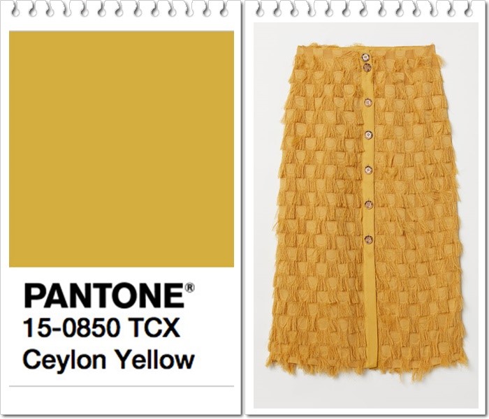 Ceylon-Yellow-otono-2019