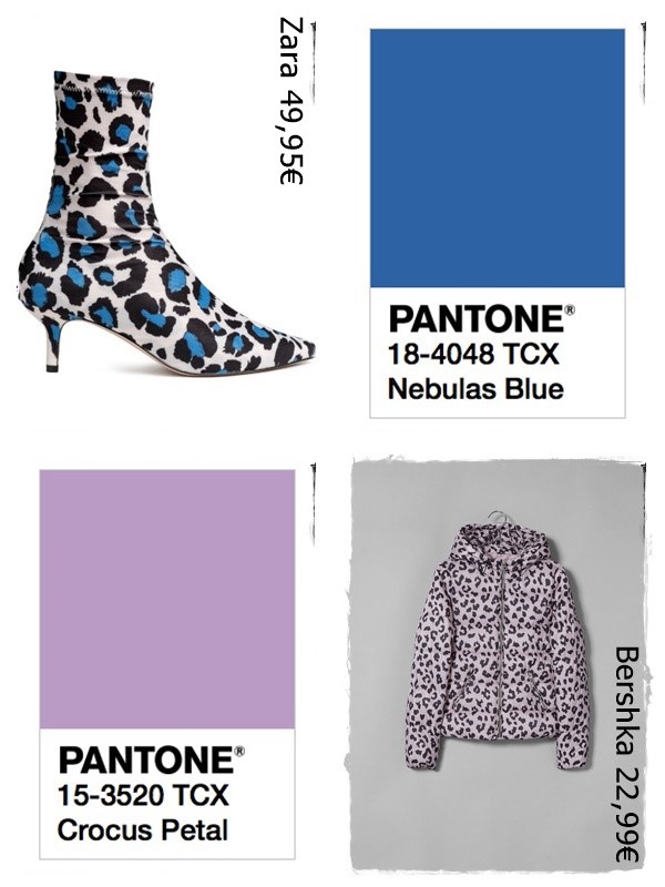 leopardo-colores-de-moda